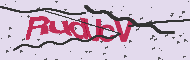 Captcha認証コード
